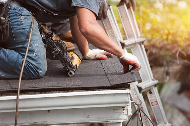Best Roof Gutter Cleaning  in La Honda, CA